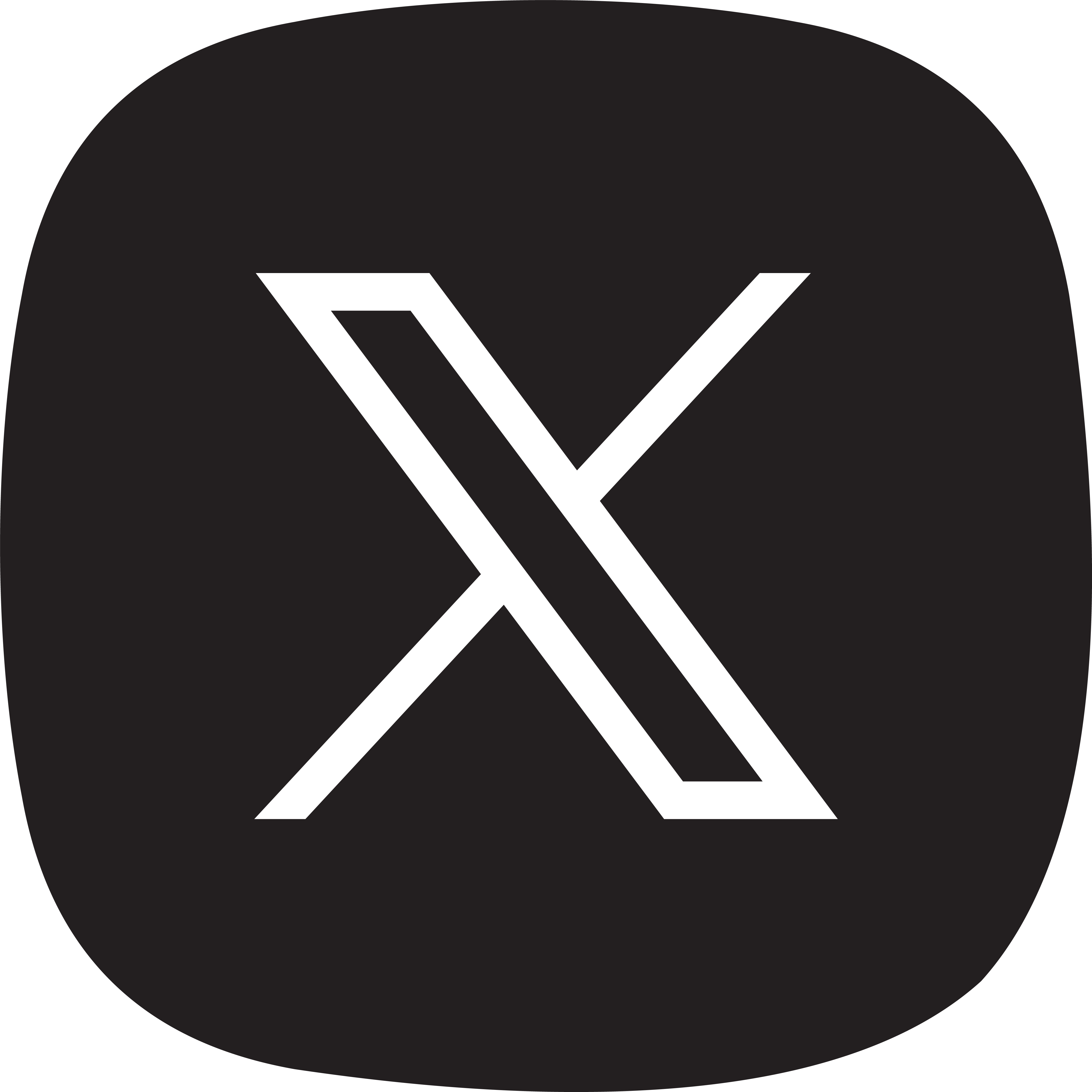 X (Twitter)